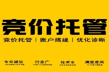 百度推广的秘诀：以某电商平台的成功经验为例